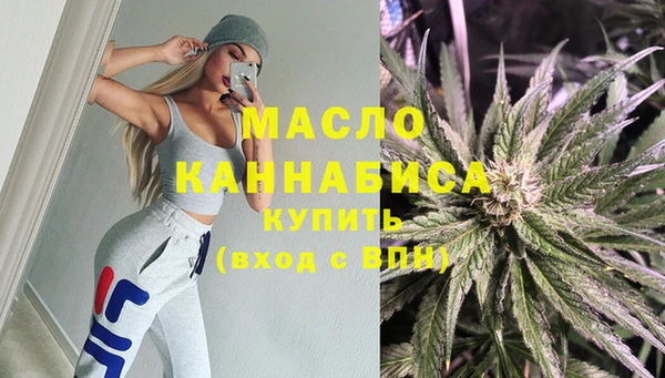 стаф Аркадак
