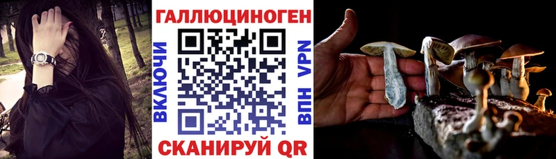 Галлюциногенные грибы Psilocybine cubensis  продажа наркотиков  Жуковка 